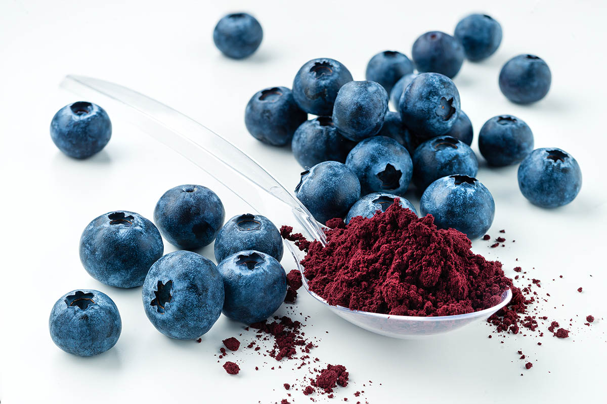 blueberry powder supplier